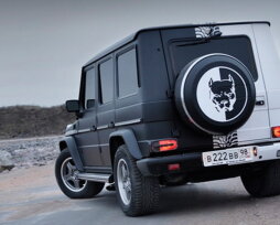 Откуда пошла мода на наклейку питбуля на авто, кто первым ее наклеил и каково ее значение