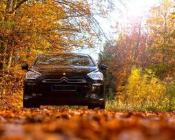 Популярные автотовары для осени: что выбрать и купить в первую очередь