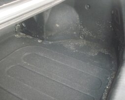 Как справиться с плесенью в багажнике автомобиля