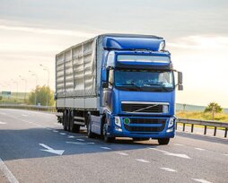 Что надо знать про дачные грузоперевозки в Чернигове?