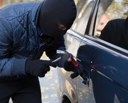 Угнали машину без номера: что делать