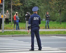 Как узнать о штрафах ГИБДД по фамилии пешехода