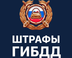 Справка об отсутствии штрафов ГИБДД — где можно получить