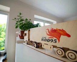 Код 95 для водителей Италии: особенности получения в Европе