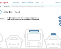 Как сделать, чтобы штрафы ГИБДД приходили на «Госуслуги» — как настроить уведомления