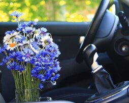 Как сделать освежитель воздуха для машины собственноручно