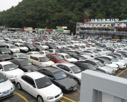 Топ японских машин — что лучше всего подойдет для российских реалий