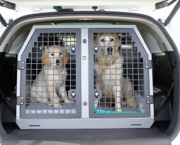 Клетка для собаки в багажник авто: ТОП моделей по разной цене