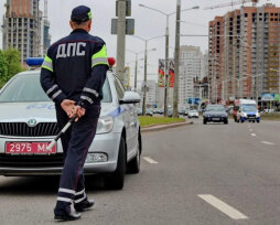 Проверить штрафы ГИБДД Беларусь на официальном сайте МВД: инструкция