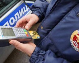 Статус плательщика при оплате штрафа ГИБДД — как заполнять