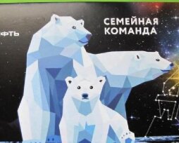 Какие бонусы можно получить по карте АЗС «Роснефть»