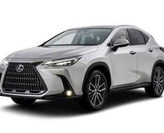 Чип, проставки и выхлоп: цена модификаций Toyota и Lexus глазами инженера, а не маркетолога