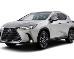 Чип, проставки и выхлоп: цена модификаций Toyota и Lexus глазами инженера, а не маркетолога