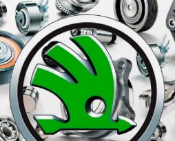 Автозапчасти Skoda