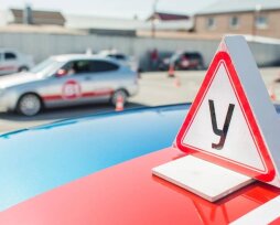 Чего не стоит бояться на первых уроках