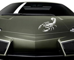 Для чего используется и каково значение наклейки «Скорпион» на автомобиле