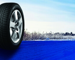 Производитель шин «Триангл»