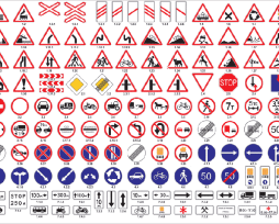Как максимально быстро и эффективно выучить правила дорожного движения