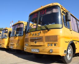 Договор фрахтования автобуса для перевозки детей: что это и как заключается