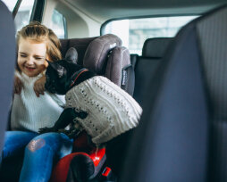 Виды автокресел в автомобиль