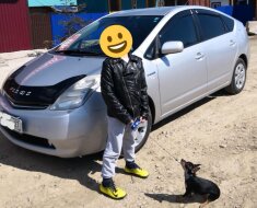 Toyota Prius – любимица нашей семьи
