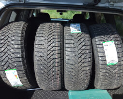 Обзор модели и отзывы о шинах Triangle Trin PS01