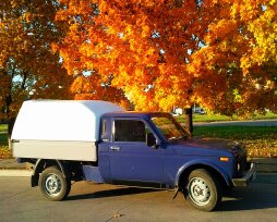 История создания  и логотип автомобильного бренда «Нива ВИС»