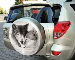 Самые популярные наклейки на запаску автомобиля