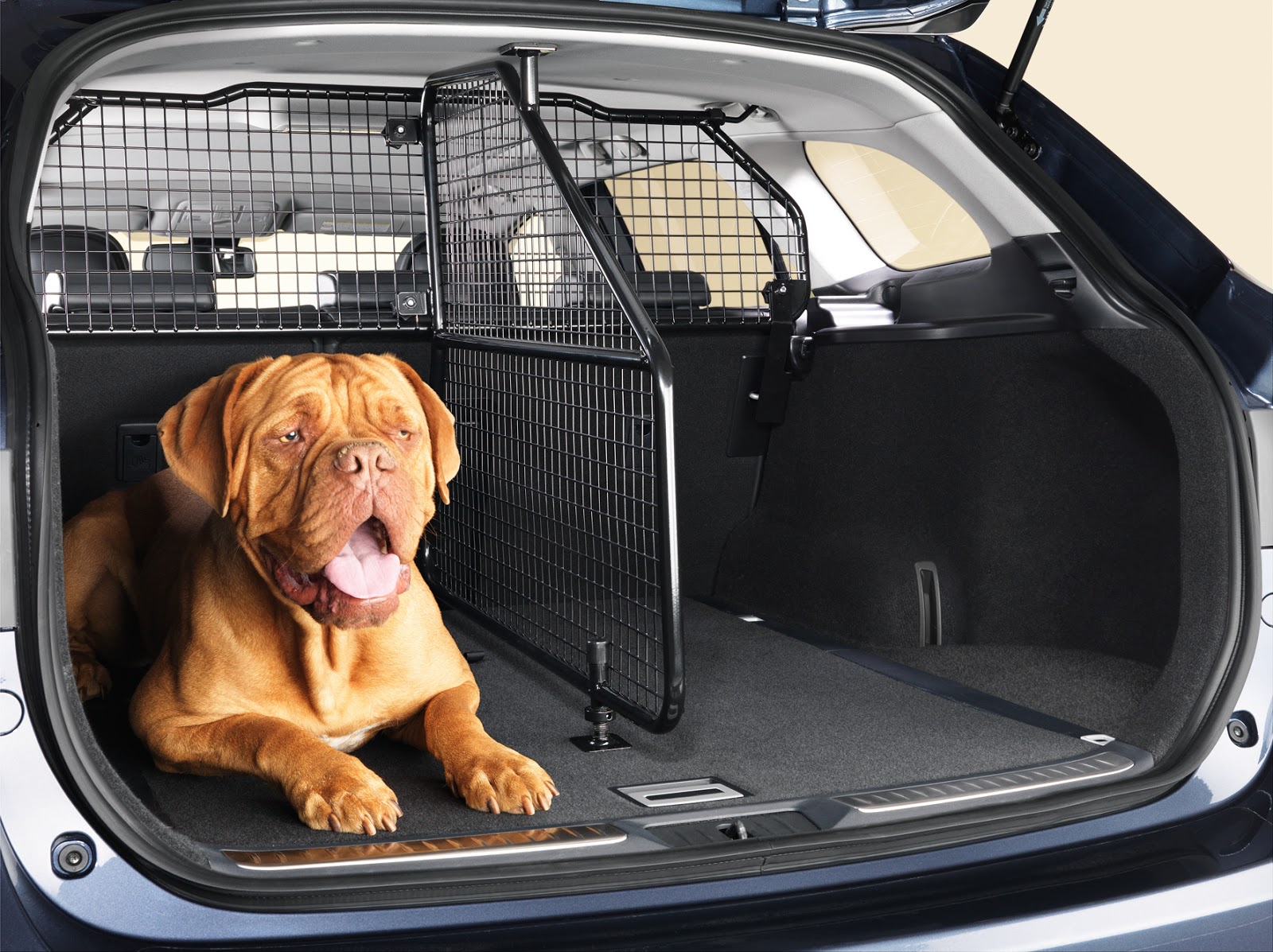 Решетка в багажник для собак