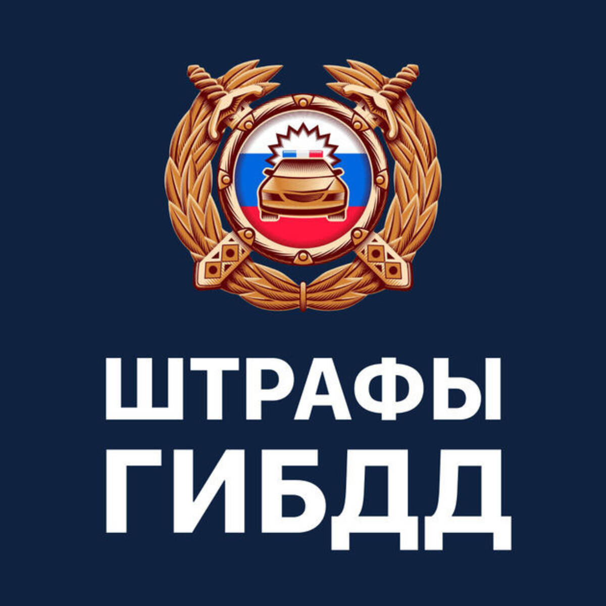 Справка о штрафах ГИБДД